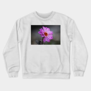 Purple Daisy Crewneck Sweatshirt